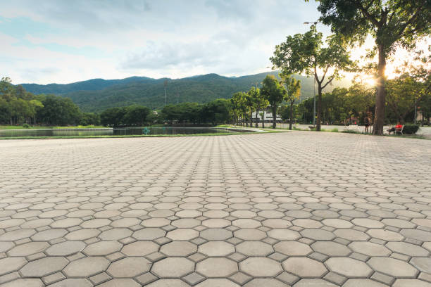 Best Interlocking Driveway Pavers  in Canton, NC